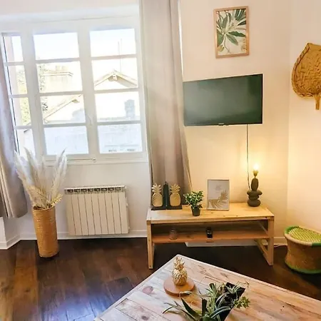 Apartment New Cosy Tropical - Garage Ferme & Centre-ville *